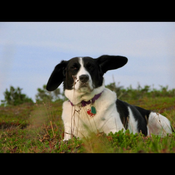 Meet the Posher Other - Meet your Posher, Patty